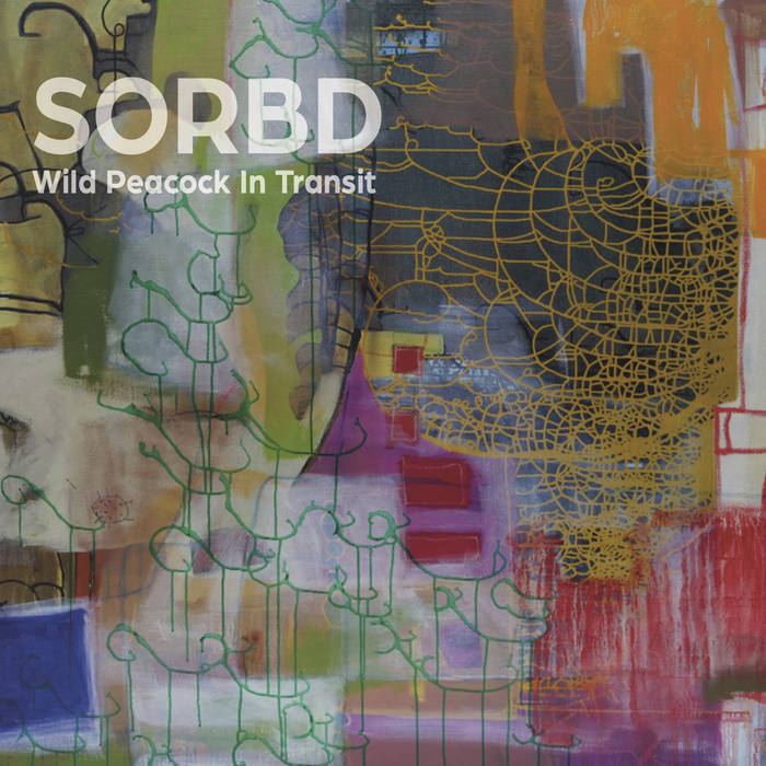 Wild Peacock In Transit
by SORBD