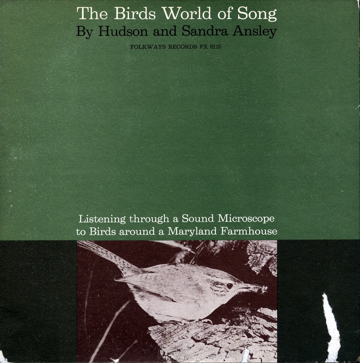 The Birds World of Song | Smithsonian Folkways Recordings