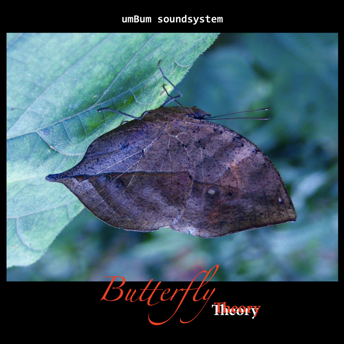 Butterfly Theory Umbum Soundsystem
