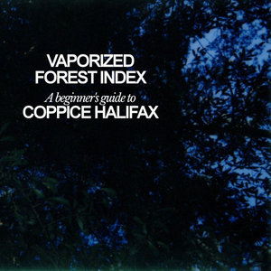 Vaporized Forest Index cover