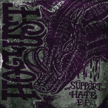 Support Hate cover art