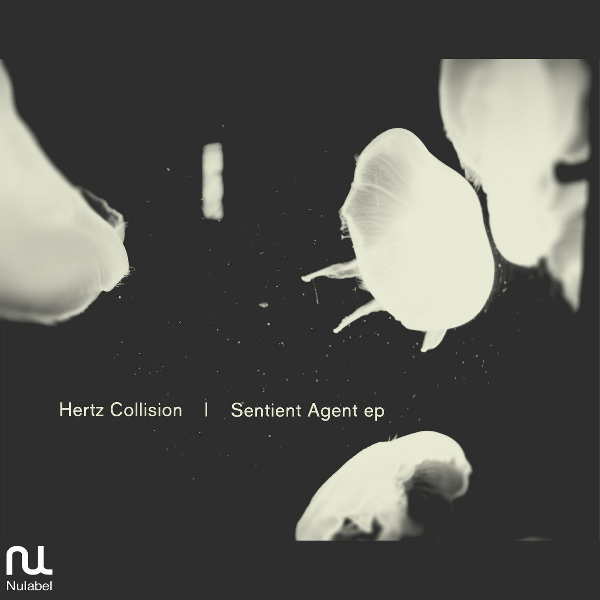 NU098] Hertz Colliscion , Obsrv - Sentient Agent EP | VA | Nulabel