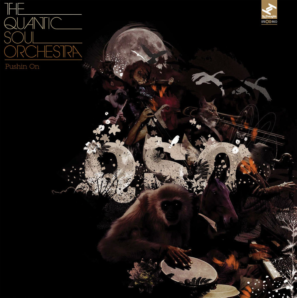 the quantic soul orchestra pushin on