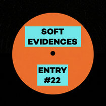 Playedby.wav — Unknown Artist - Entry #22 [Soft Evidences / SOFT22]