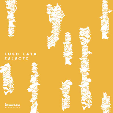LUSH LATA SELECTS main photo