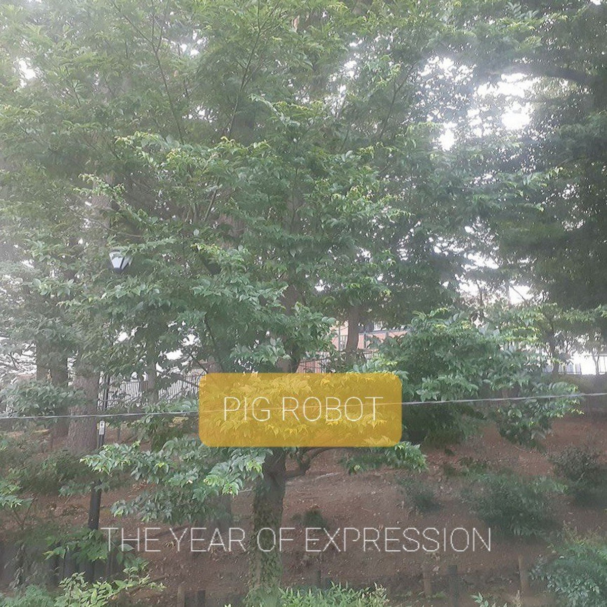 The Year of Expression EP cover