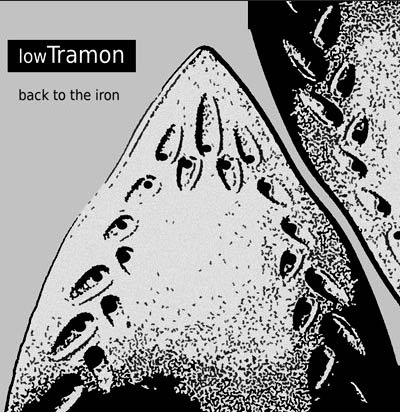 LowTRAMON – Back to the iron