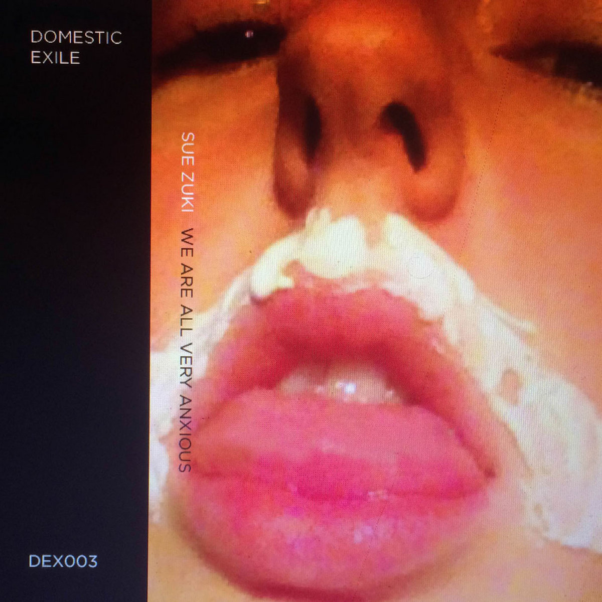 we are all very anxious domestic exile