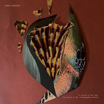 AS LIFE UNPLUGGED SPLIT EP サバプロ AS LIFE UNPLUGGED SPLIT EP サバプロ AS LIFE UNPLUGGED SPLIT EP