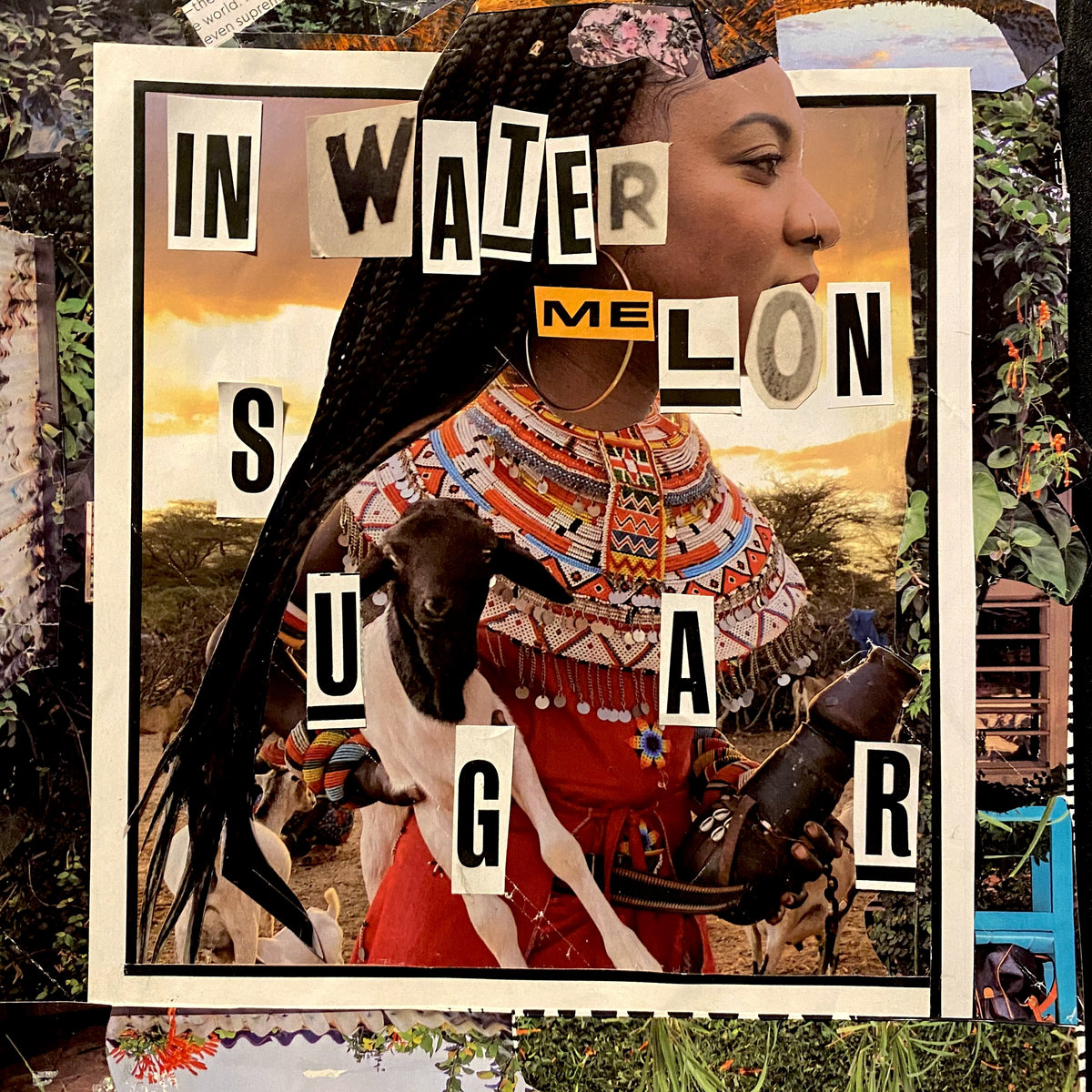 Adrienne Maree In Watermelon Sugar Steak Cake Records