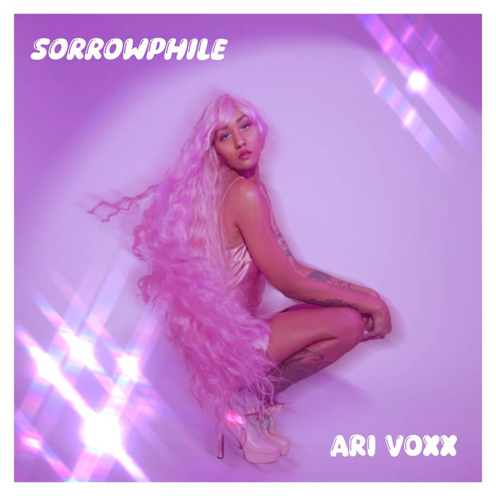 The Ari Voxx Theme Song | Ari Voxx