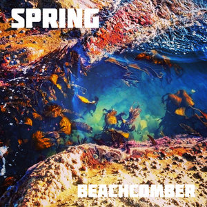 Beachcomber cover
