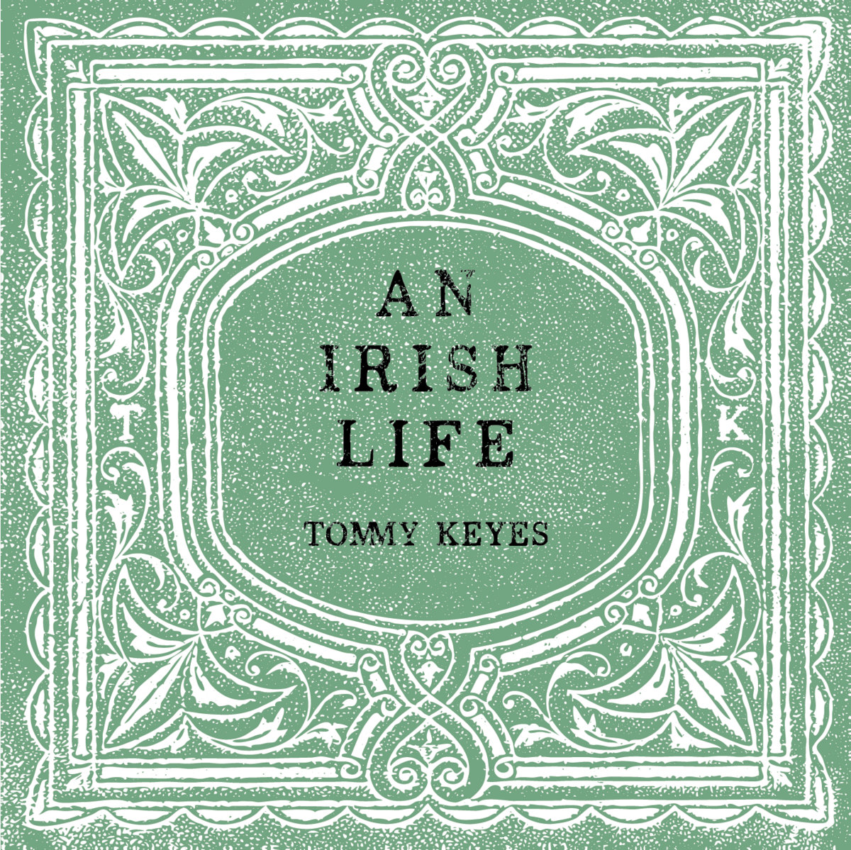 An Irish Life cover