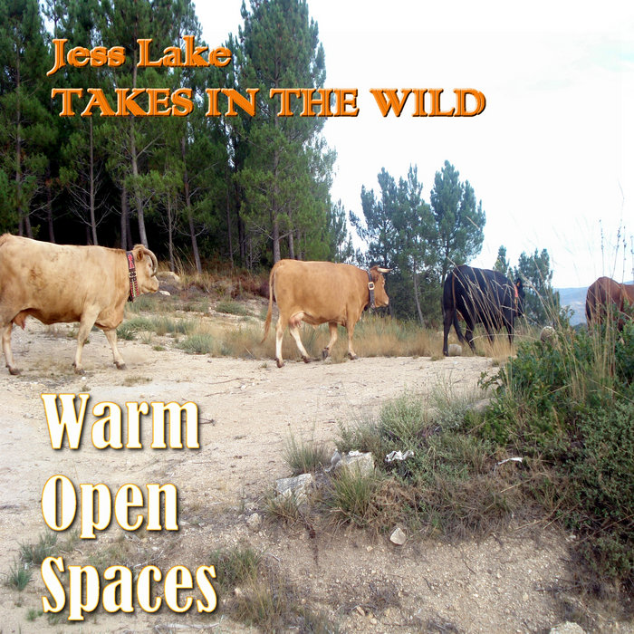 Beer for my Horses Jess Lake