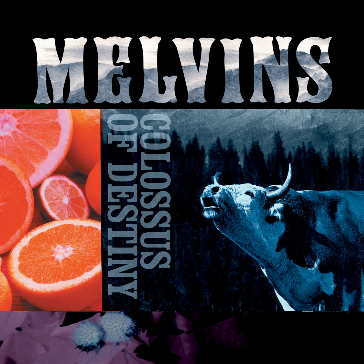 Colossus Of Destiny | Melvins