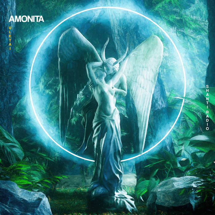 Amonita