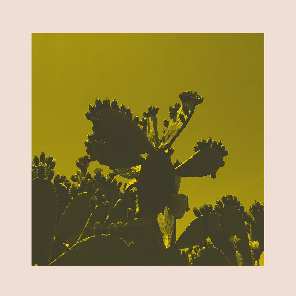 Everything Is Slow | Bright & Findlay