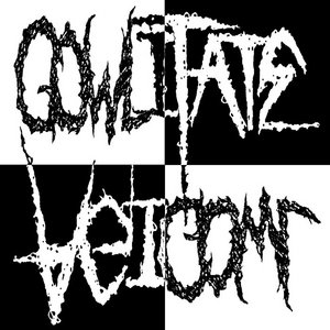 GOWL split cover
