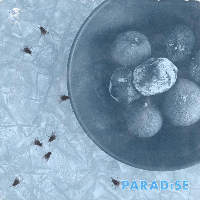 Cell Rot - Paradise