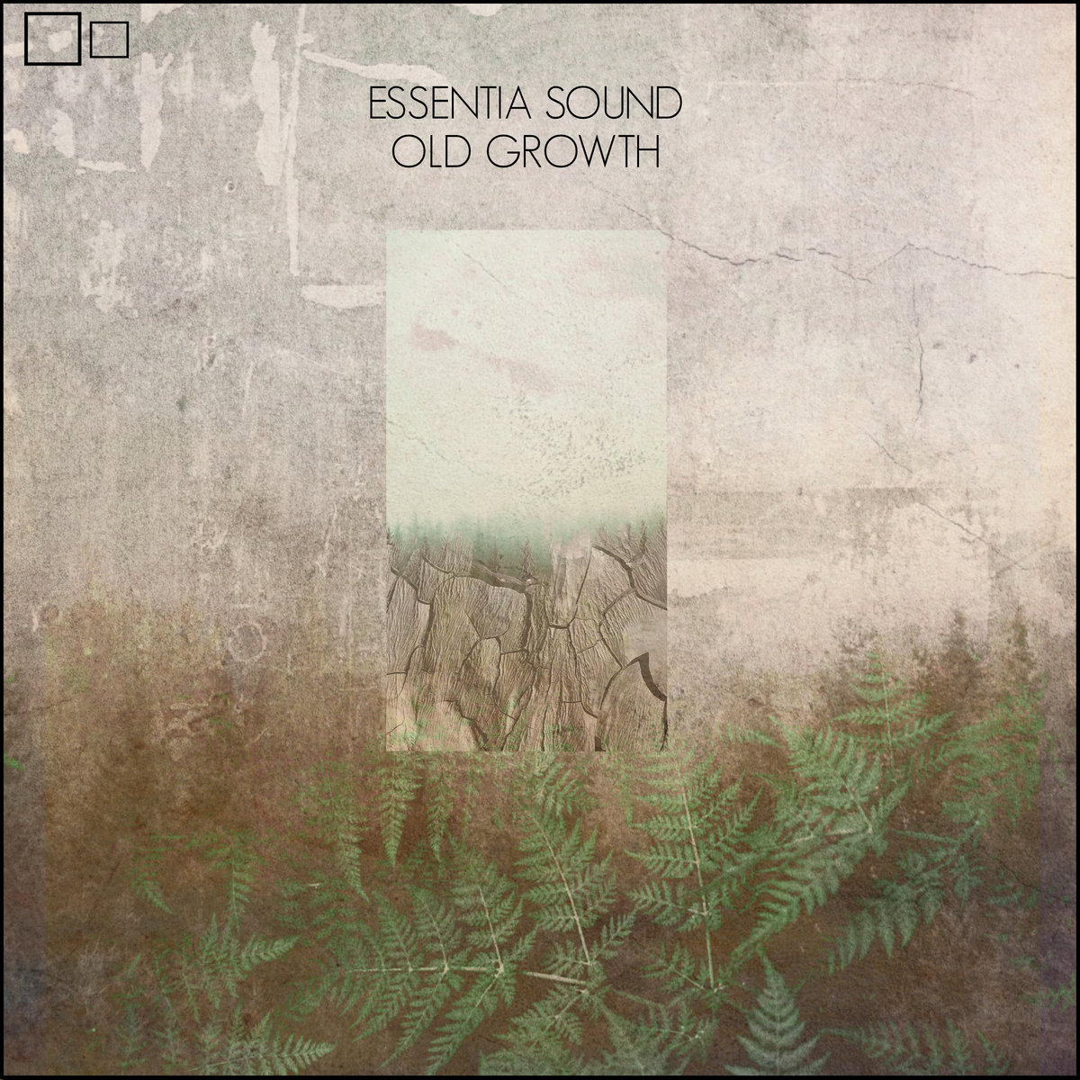Essentia Sound – Old Growth