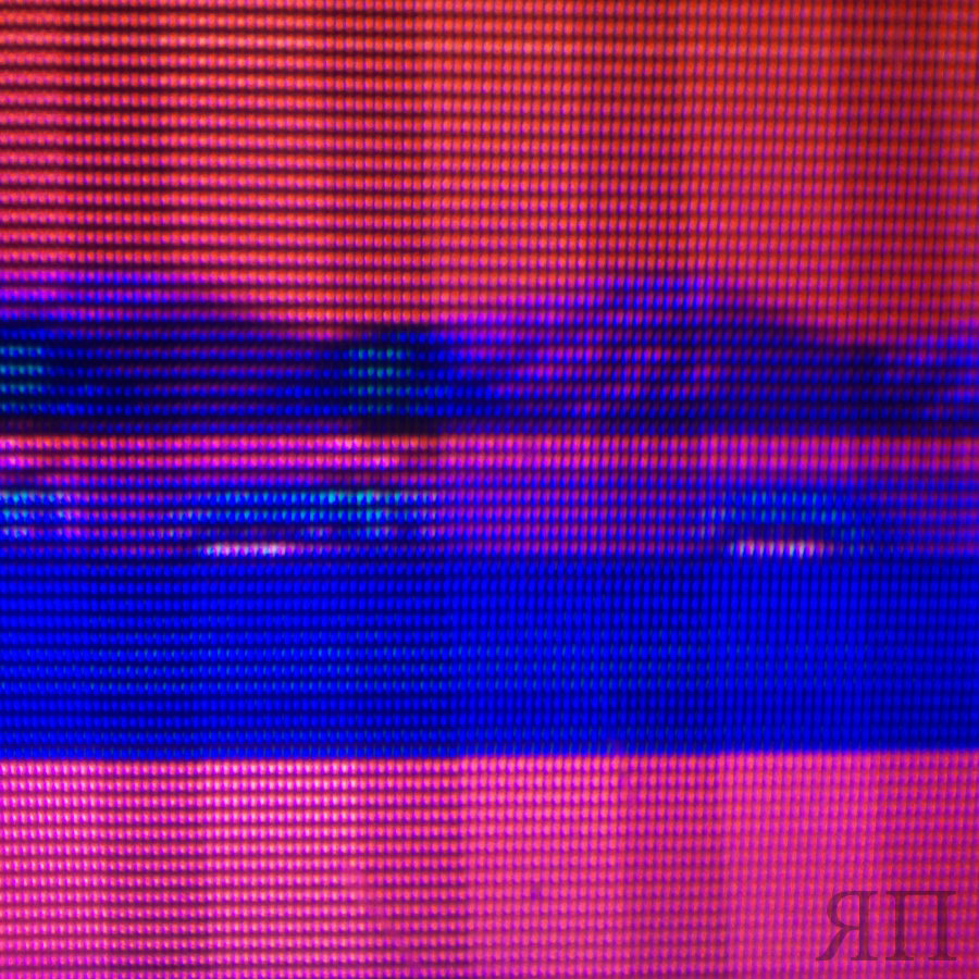 snail phase by ilkae