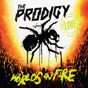 World's on Fire (Live) cover