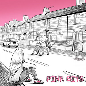 Pink Bits cover