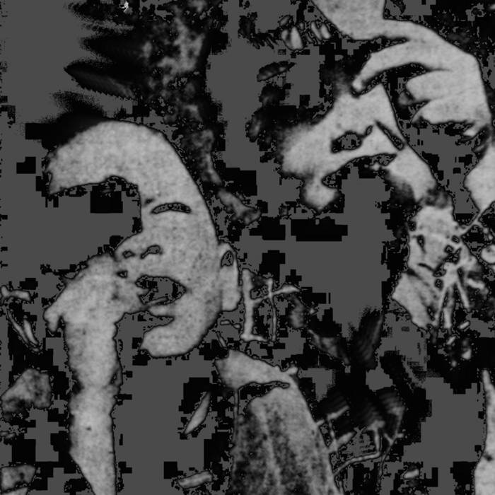 Sun Gazers At Last The Sun