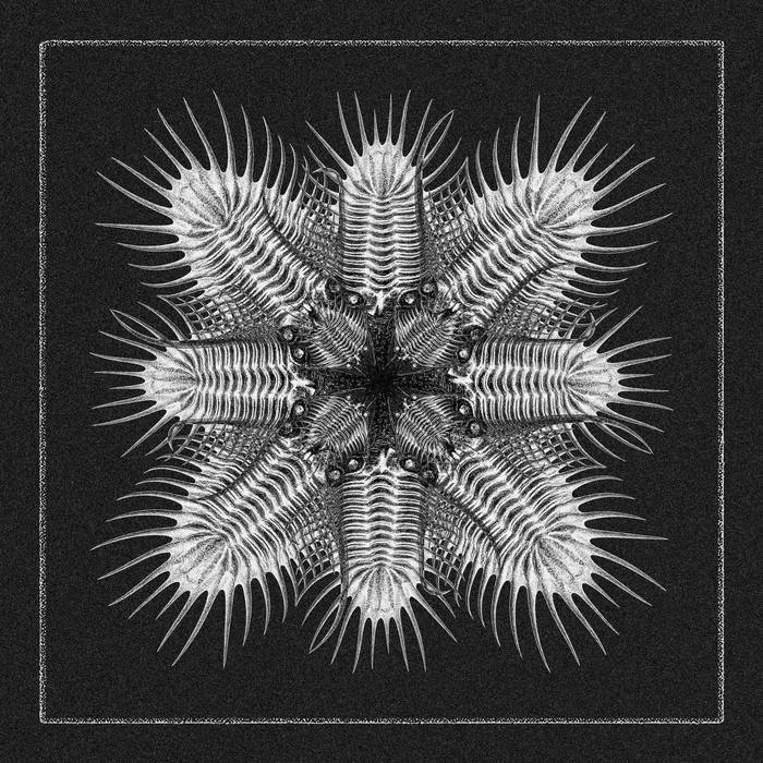 Aurora Centralis EP | 747 | Aquaregia