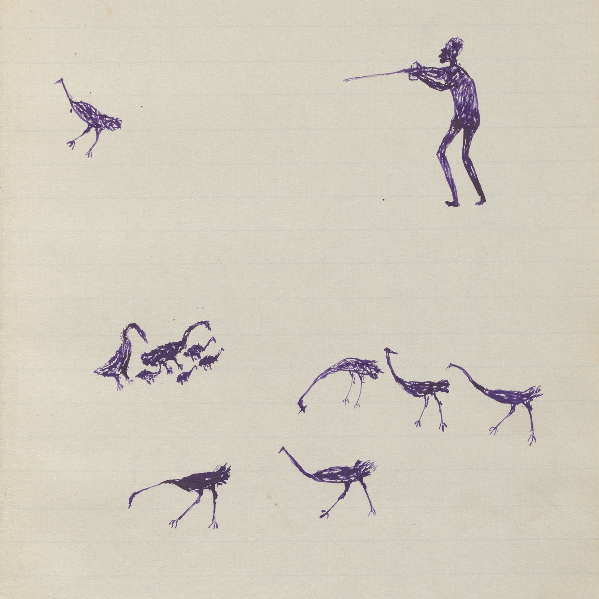 birds