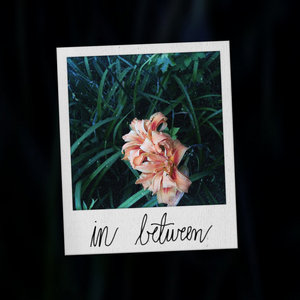in between (feat. lando!) cover