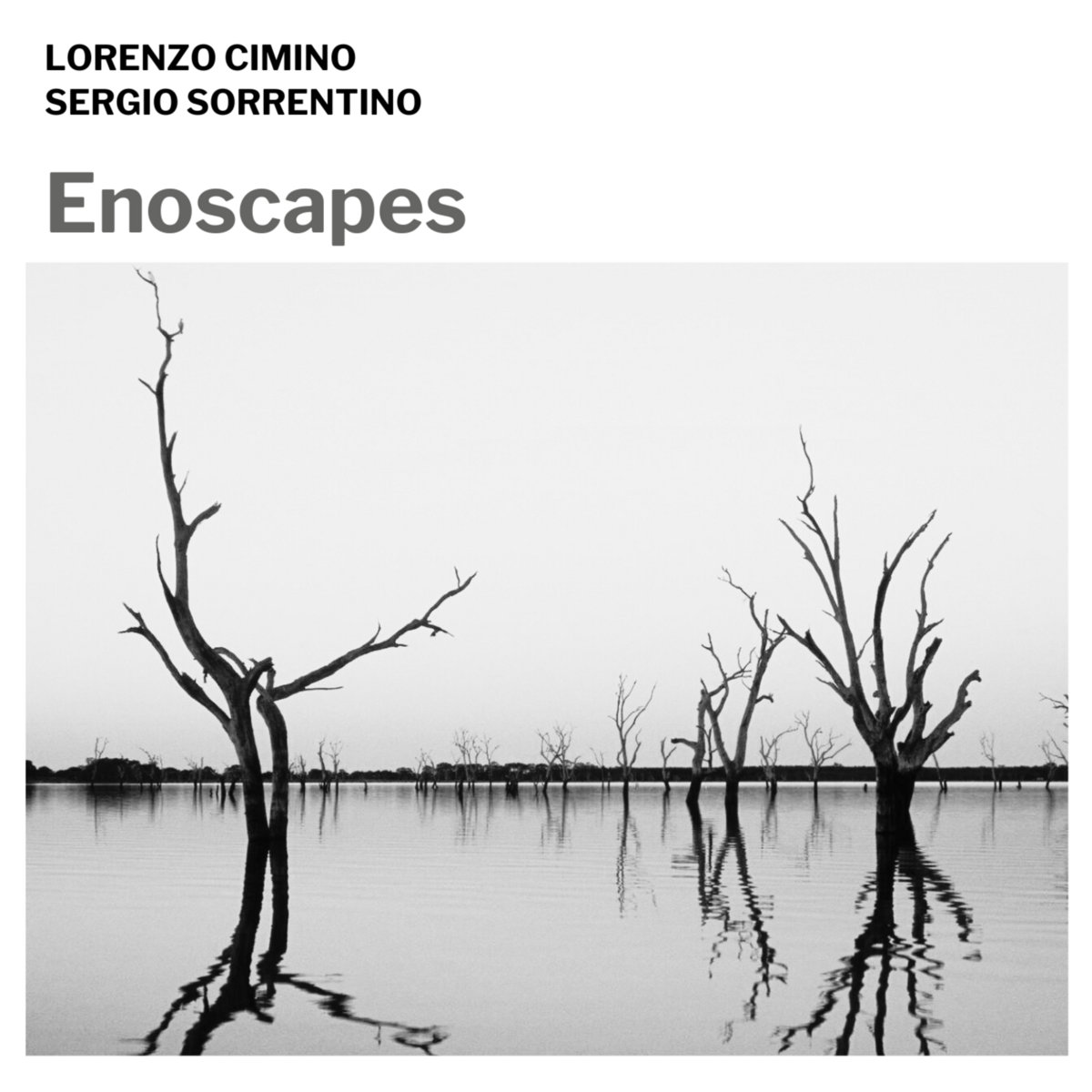 Enoscapes - Homage to Brian Eno | Lorenzo Cimino & Sergio
