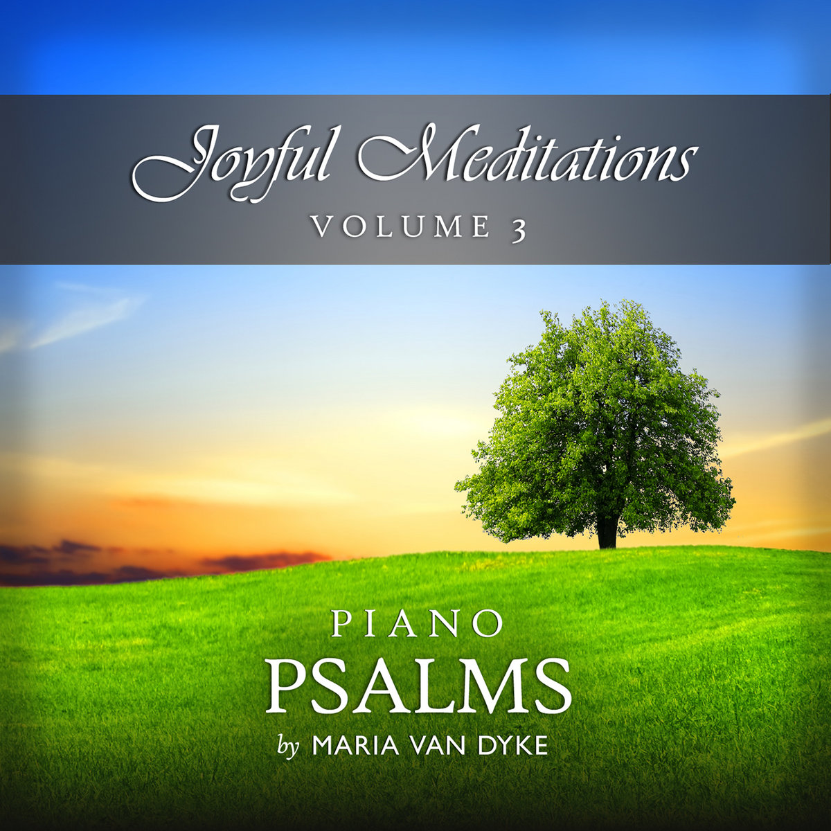 Joyful Meditations Vol 3 Maria Van Dyke maria van dyke bandcamp