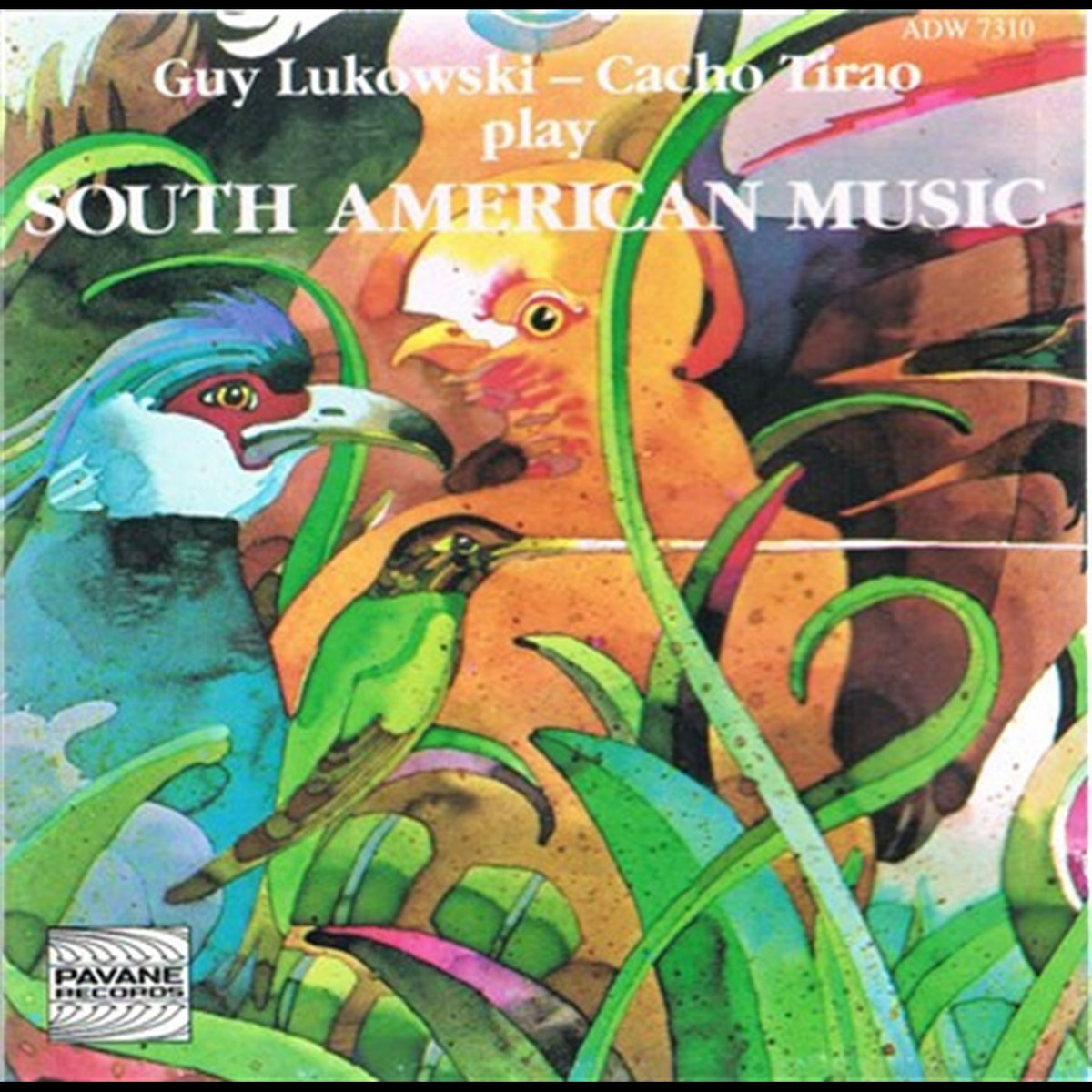 South American Music | Guy Lukowski