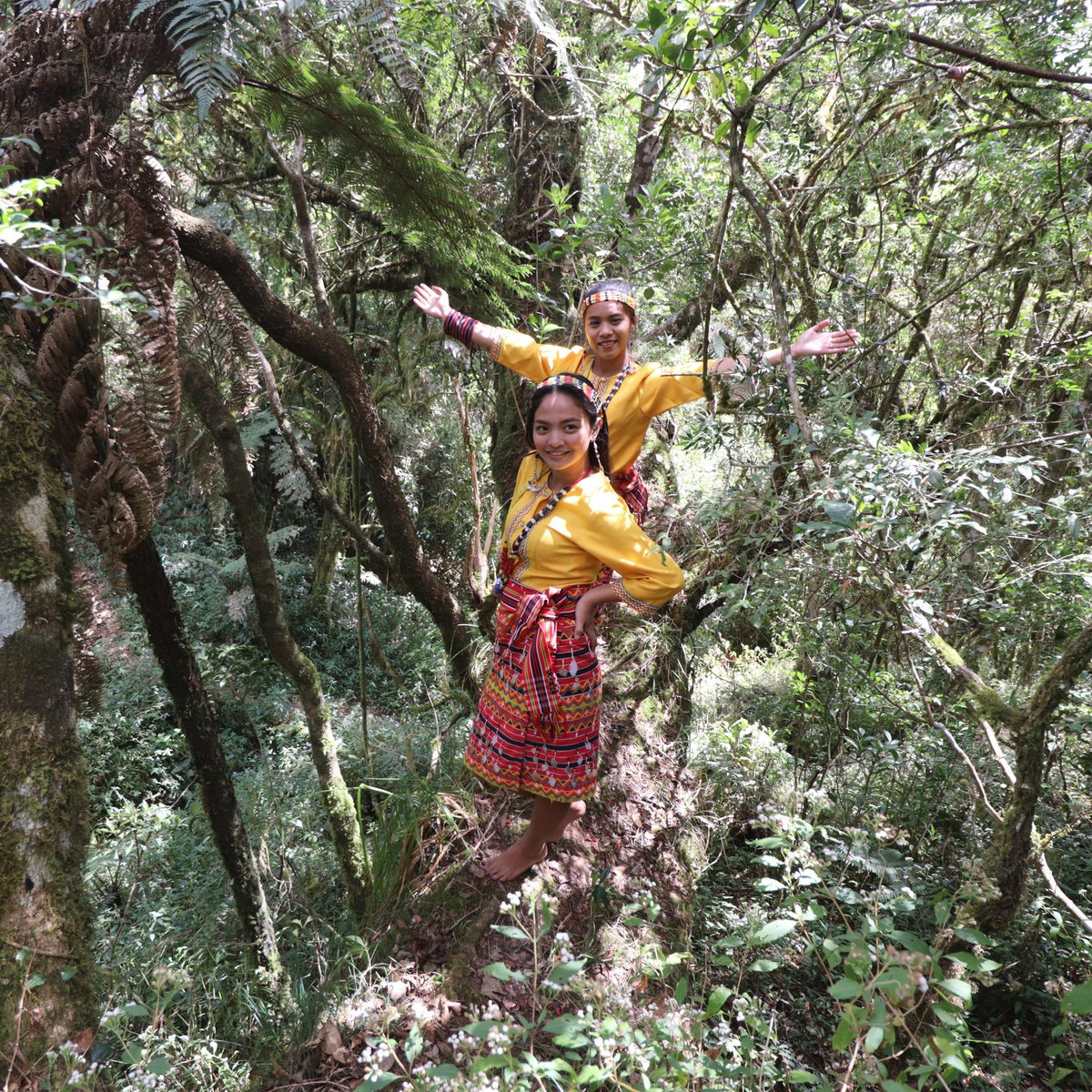 The Goodness Of Grace Cordillera Songbirds Lifebreakthrough The Goodness Of Grace Cordillera Songbirds Lifebreakthrough
