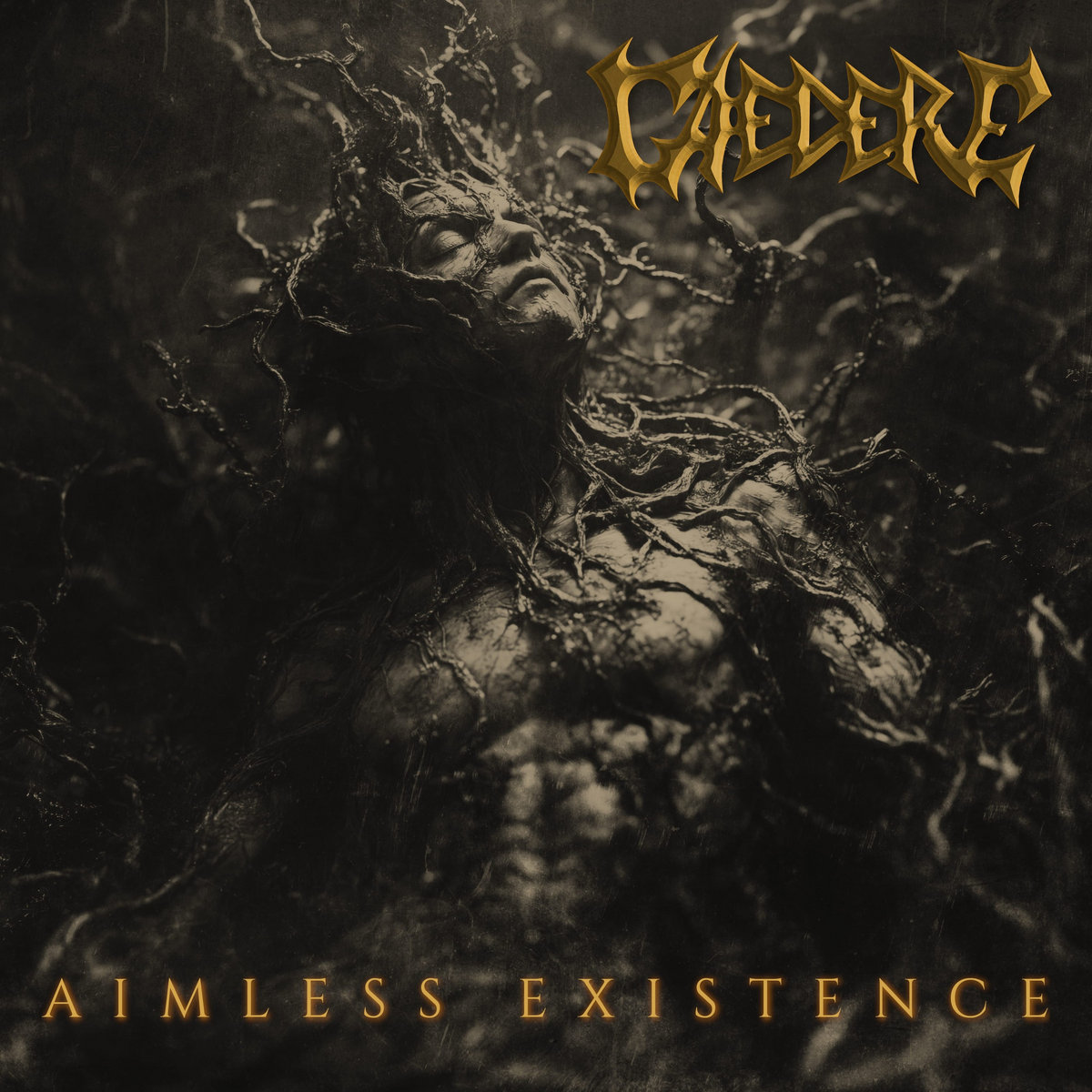 Single cover – Aimless Existence (2025)