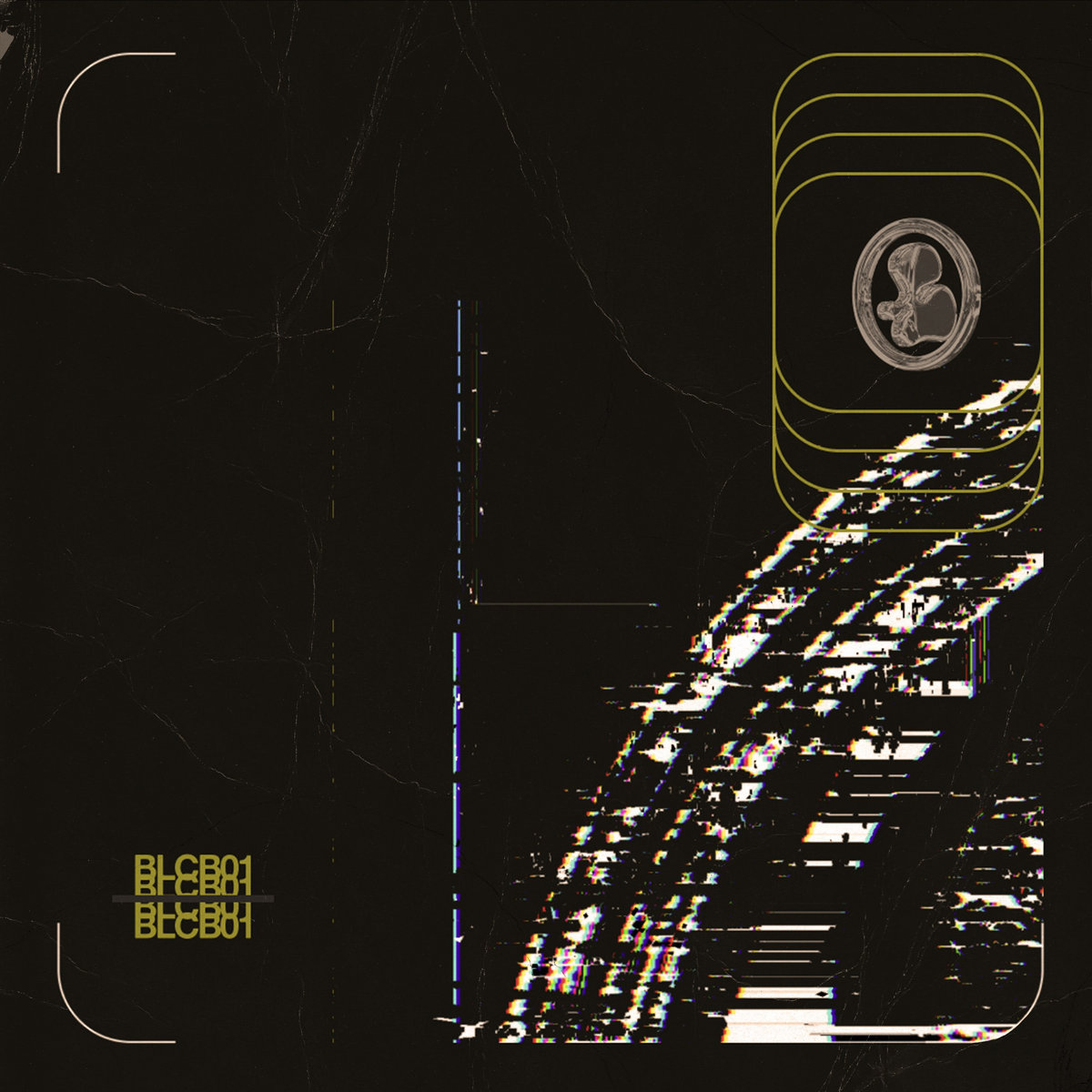 Bleached 001 | Bleached Club