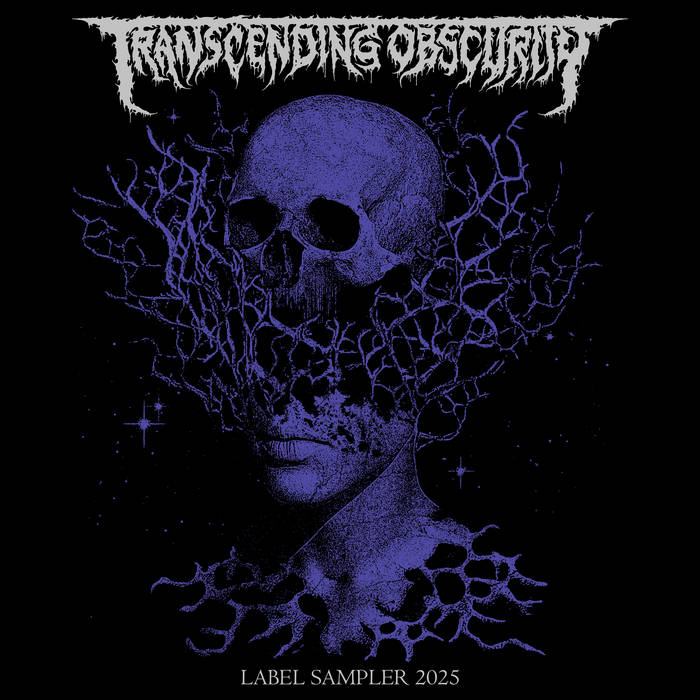 2025 Label Sampler | Transcending Obscurity Records 2025 Label Sampler | Transcending Obscurity Records