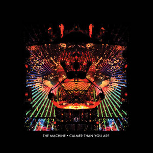 Calmer Than You Are cover