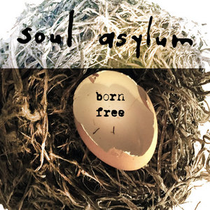 Soul Asylum — Born Free