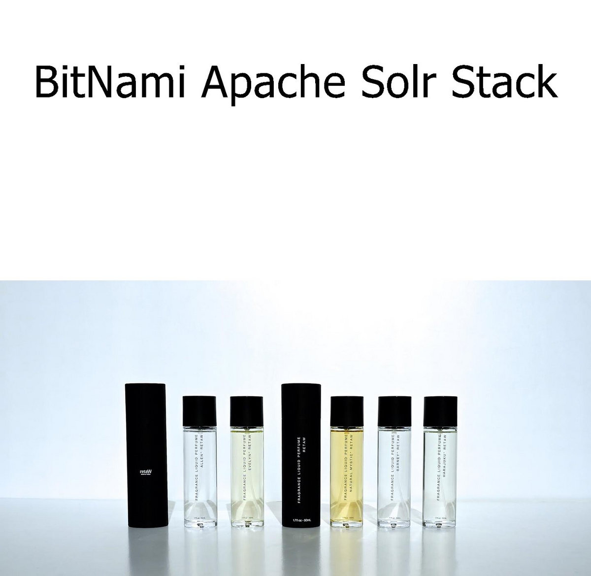 BitNami Apache Solr Stack
