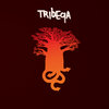 Tribeqa Cover Art