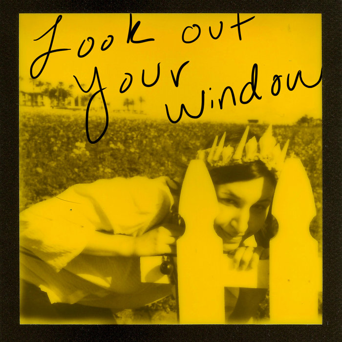 Look Out Your Window | Lucy Schwartz