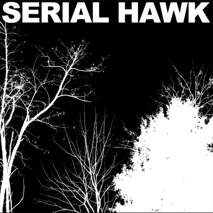 Demo | Serial Hawk