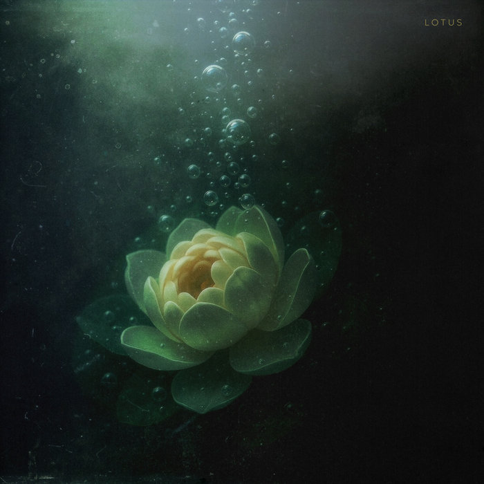Pochette de Lotus par Sidus_GR