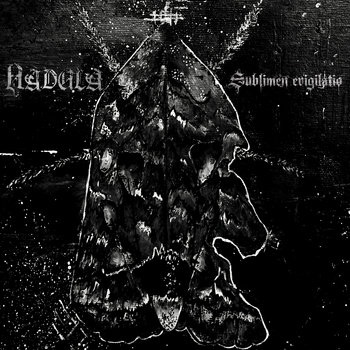 Cover of Sublimen Evigilatio