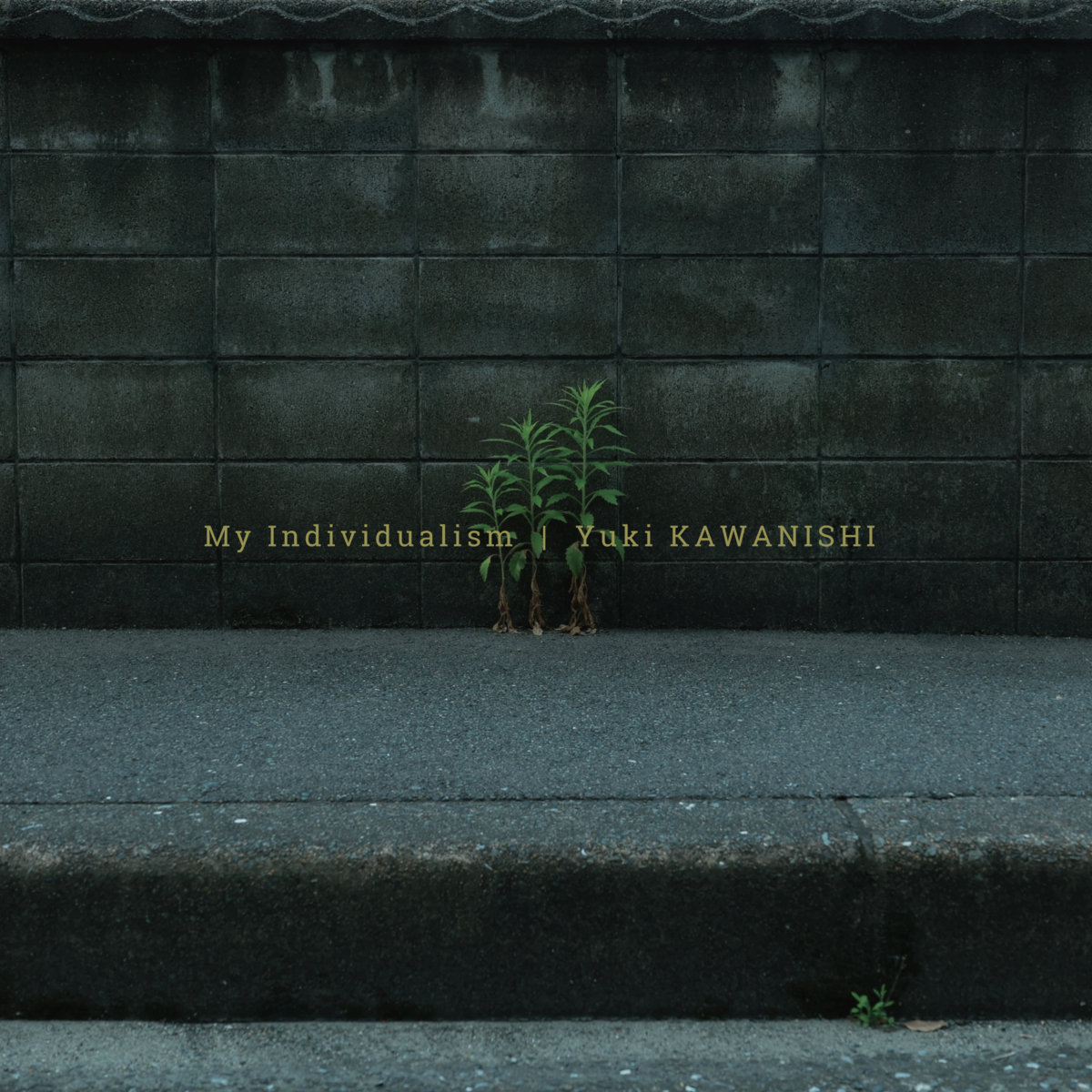 その他 Bright Green / YUKIYANAGI Bright Green | YUKIYANAGI