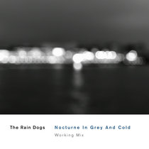 Nocturne In Grey And Cold (Working Mix) cover art