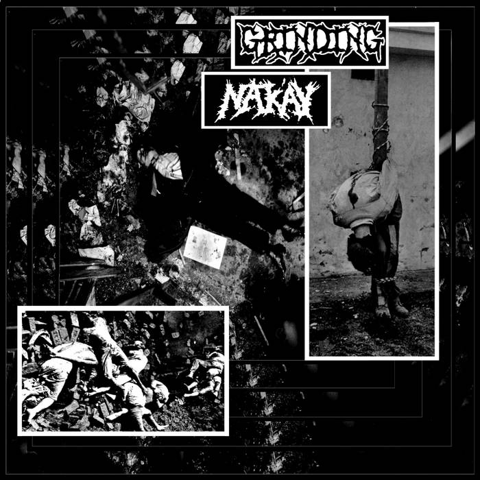 PSYCHO 001_INSECT WARFARE / CARCASS GRINDER split 7
