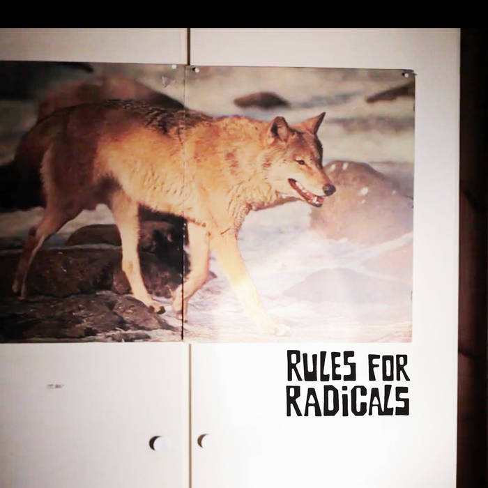 Rules For Radicals | Rules For Radicals | Trench Art Noise